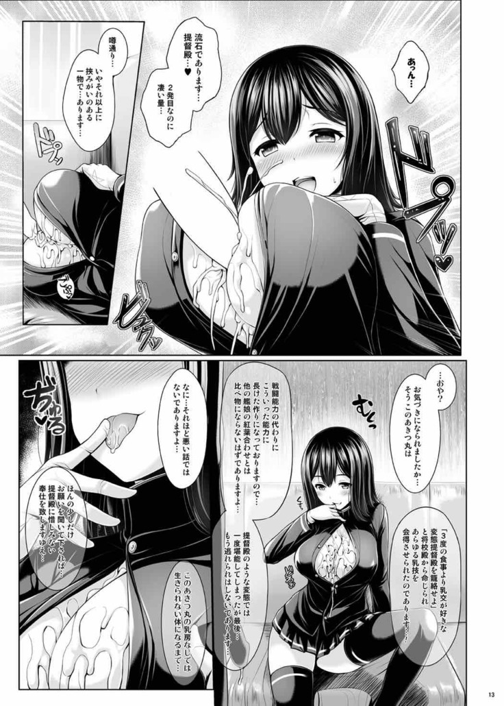 Nyuukyou Mittei Akitsu Maru