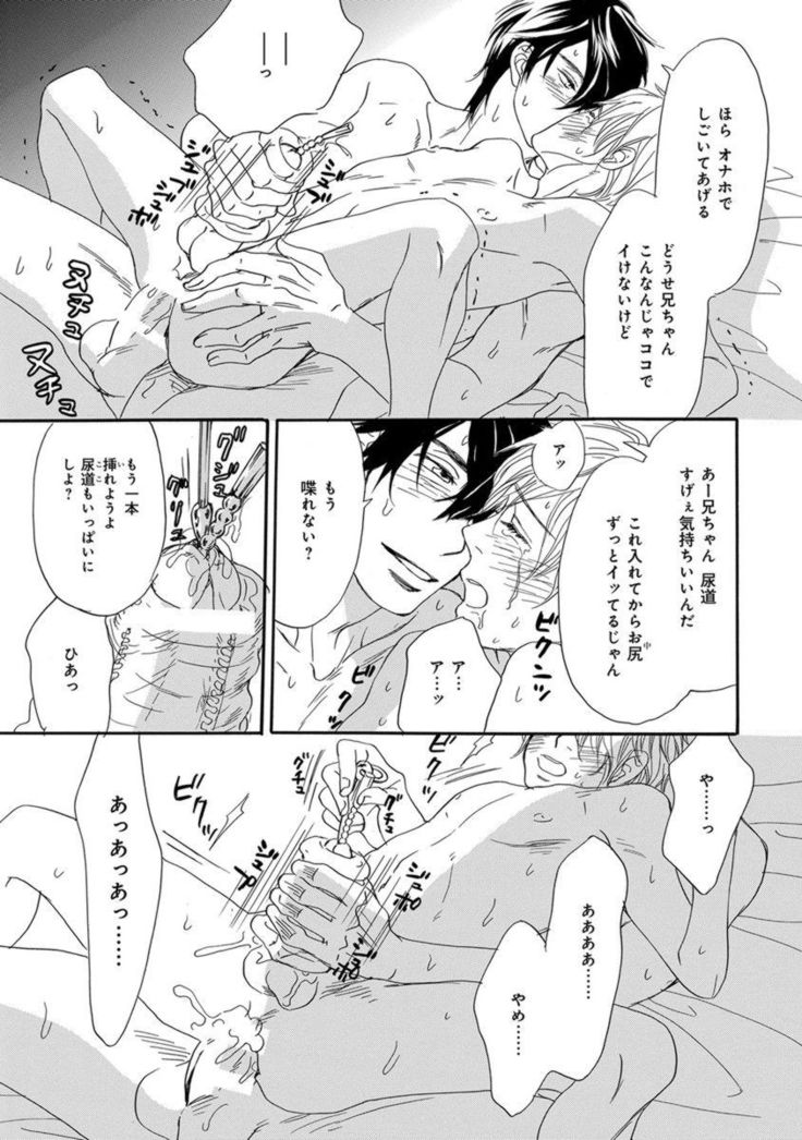 Ore wa Kawaii Ototo to