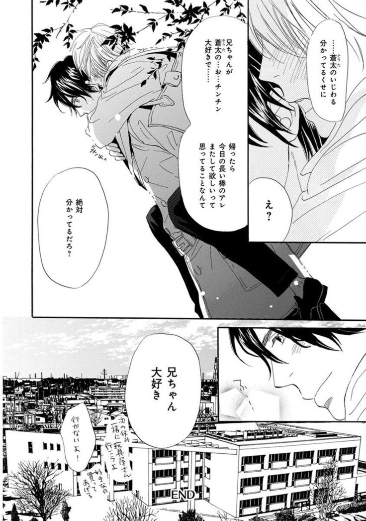 Ore wa Kawaii Ototo to