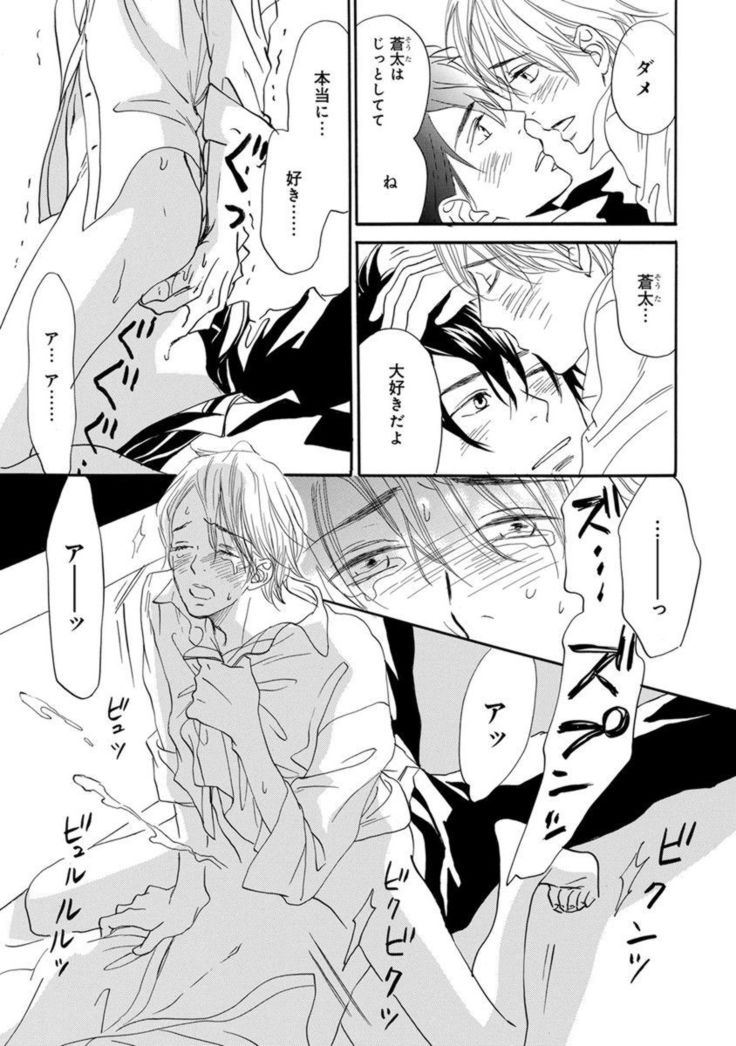 Ore wa Kawaii Ototo to