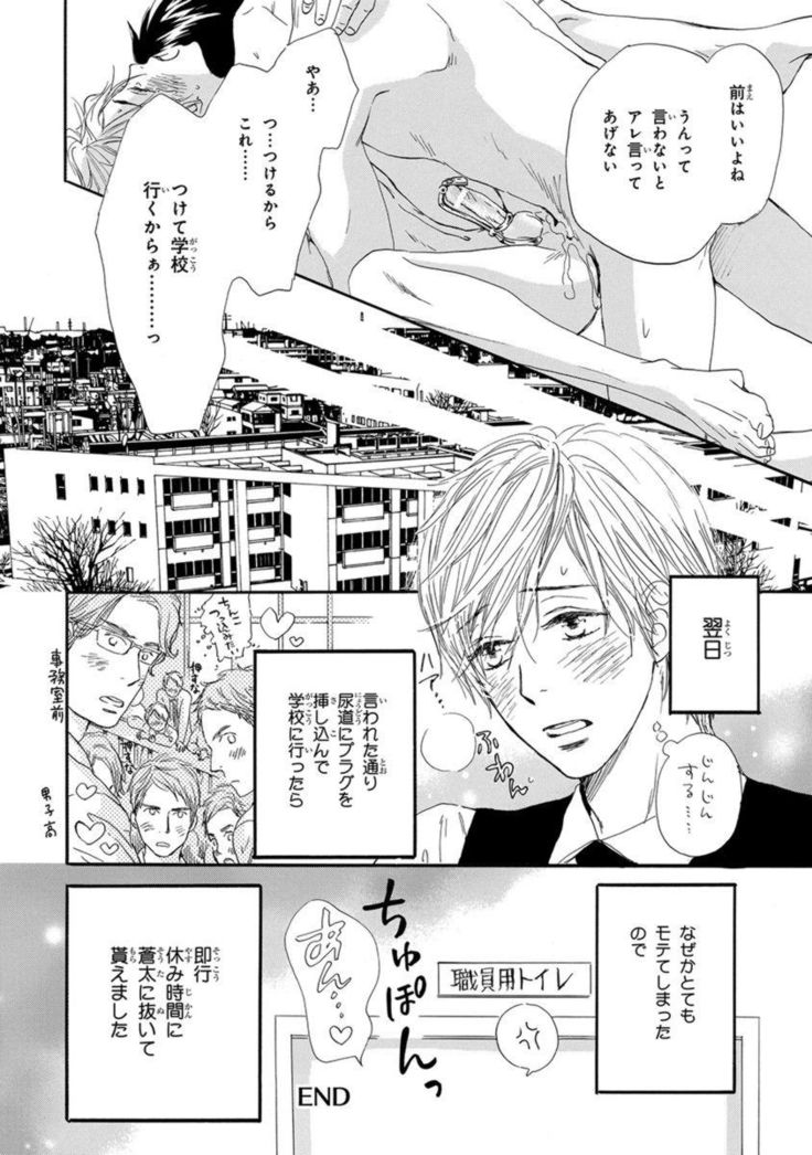 Ore wa Kawaii Ototo to