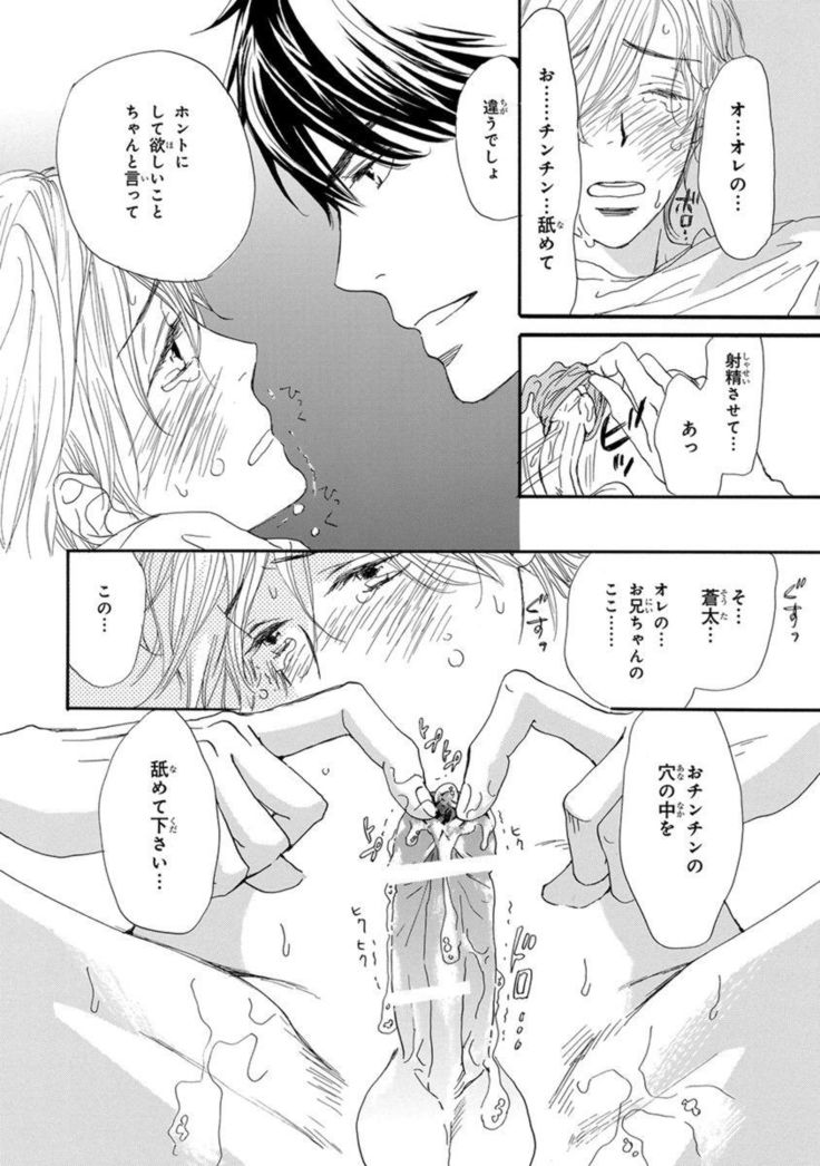 Ore wa Kawaii Ototo to