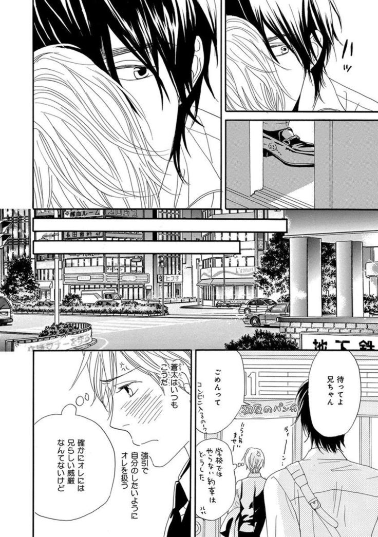 Ore wa Kawaii Ototo to