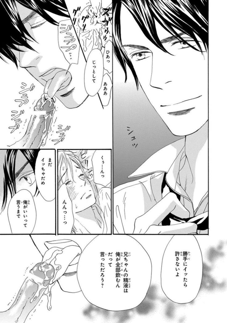 Ore wa Kawaii Ototo to
