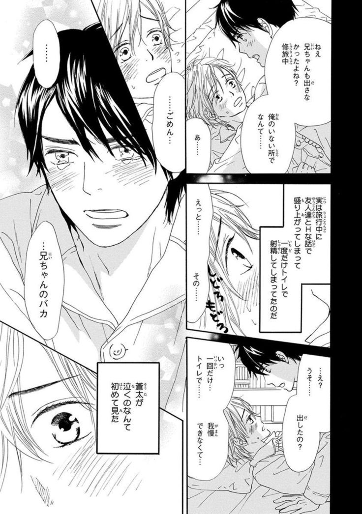 Ore wa Kawaii Ototo to