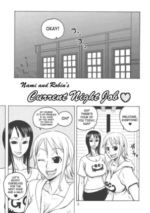 Nami no Koukai Nisshi EX NamiRobi 2 Page #4