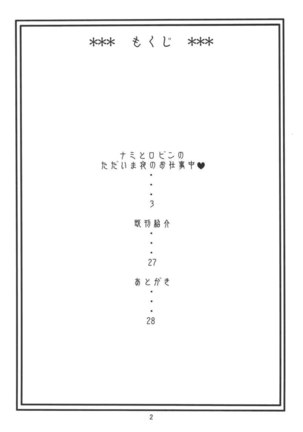 Nami no Koukai Nisshi EX NamiRobi 2 Page #3