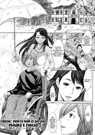 Midara na Kaori ,Chouhatsusuru Ashi  | Sensual Scent , Provocative Legs - Page 186