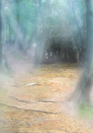 Image 4913632
