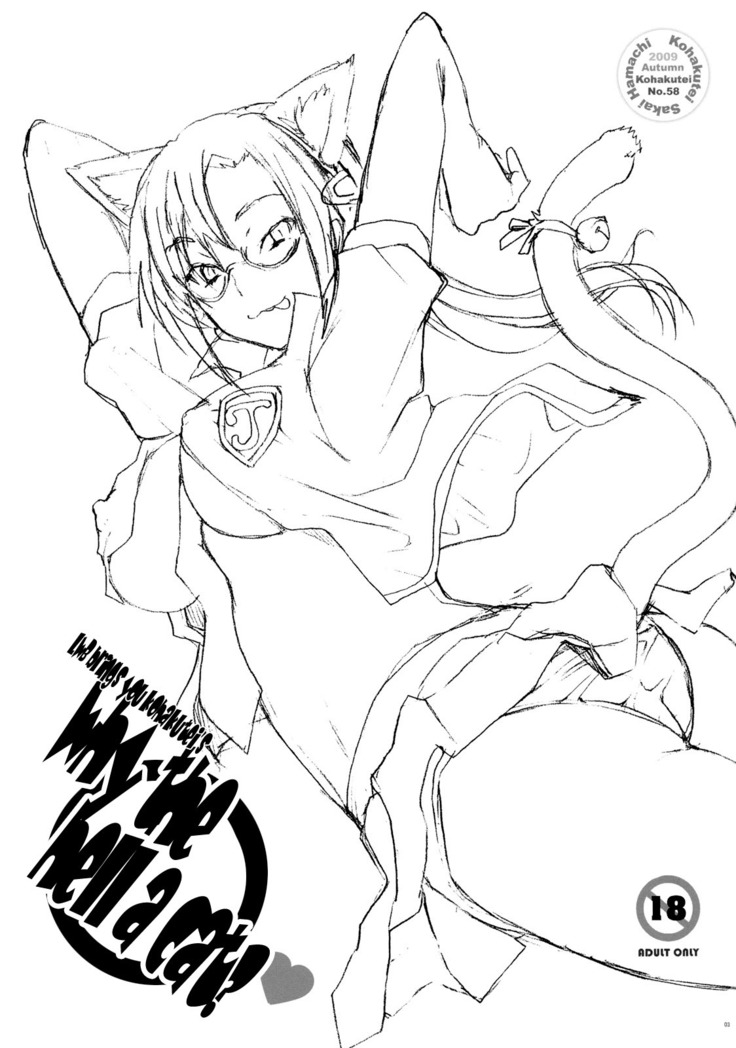 Nanda Neko ka | Why the Hell a Cat?