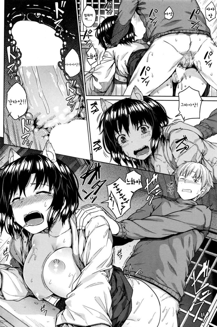Shikomiko