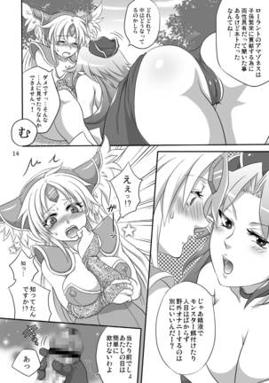 Binbin Amazoness Ecstasy Page #14