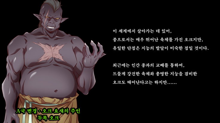 Ryoujoku Fantasy Kikaku Hajimete Mimashita | 능욕 판타지 기획 시작해봤습니다 -