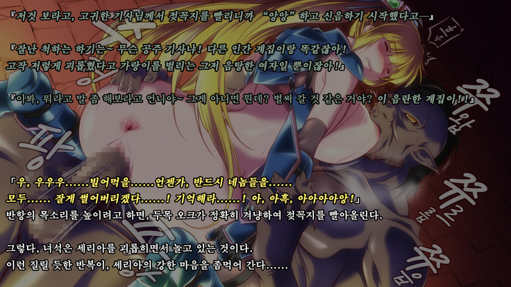 Ryoujoku Fantasy Kikaku Hajimete Mimashita | 능욕 판타지 기획 시작해봤습니다 -