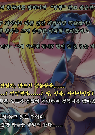 Ryoujoku Fantasy Kikaku Hajimete Mimashita | 능욕 판타지 기획 시작해봤습니다 - Page #113