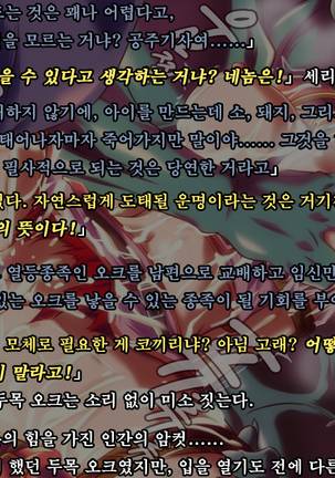 Ryoujoku Fantasy Kikaku Hajimete Mimashita | 능욕 판타지 기획 시작해봤습니다 - Page #32