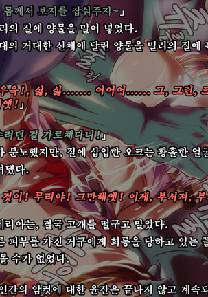 Ryoujoku Fantasy Kikaku Hajimete Mimashita | 능욕 판타지 기획 시작해봤습니다 - Page #28