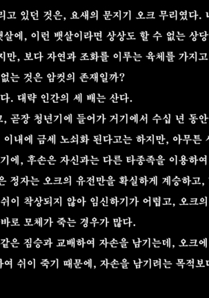 Ryoujoku Fantasy Kikaku Hajimete Mimashita | 능욕 판타지 기획 시작해봤습니다 - Page #14