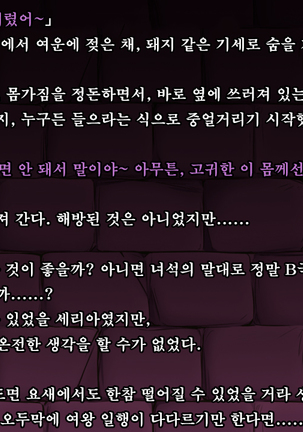 Ryoujoku Fantasy Kikaku Hajimete Mimashita | 능욕 판타지 기획 시작해봤습니다 - Page #80