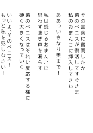 生意気な姉は肉便器志望!?弟との連続絶頂姦係 Page #395