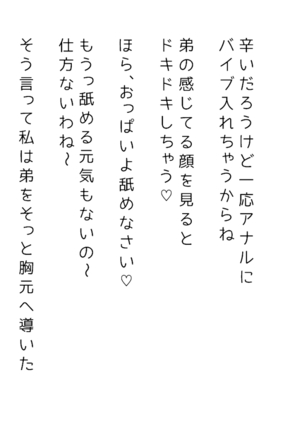 生意気な姉は肉便器志望!?弟との連続絶頂姦係 Page #375