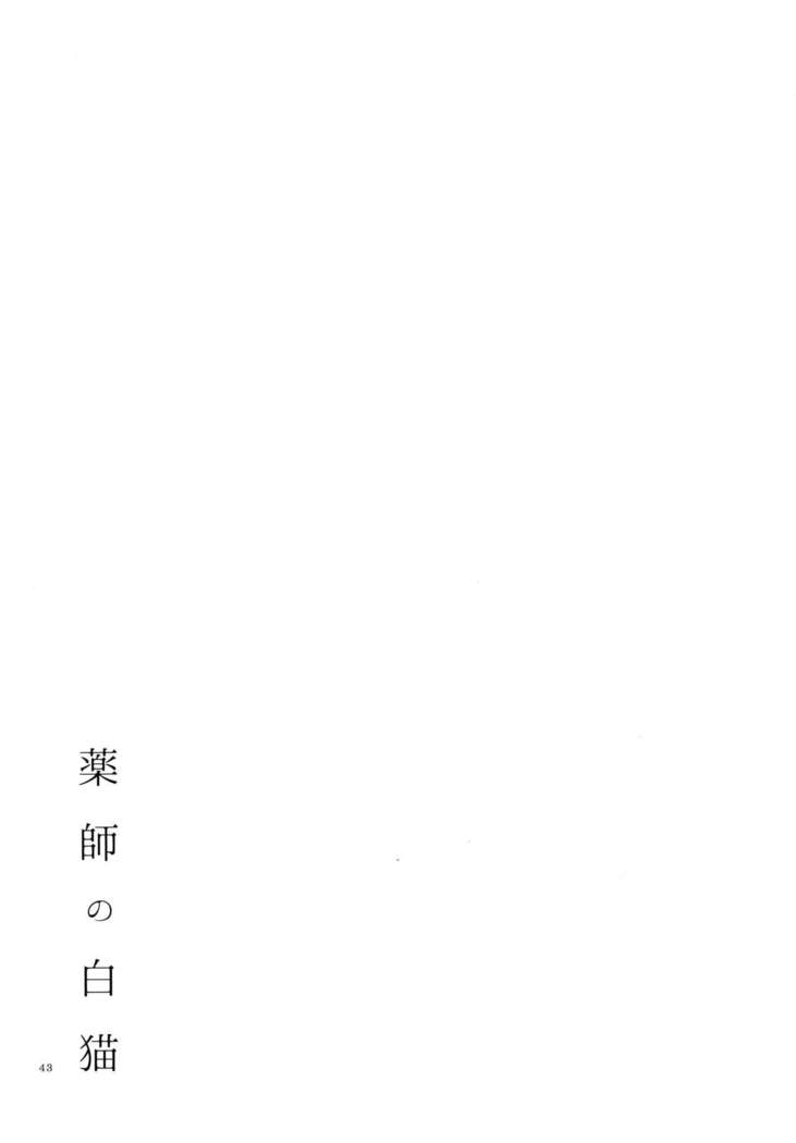 薬師の白猫