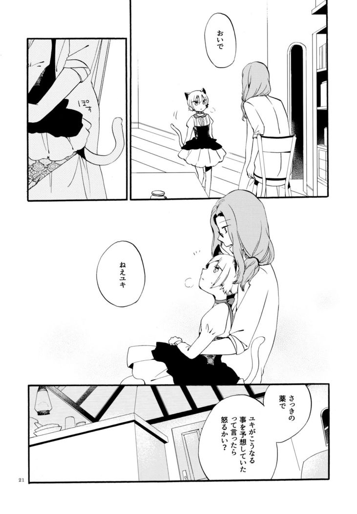 薬師の白猫