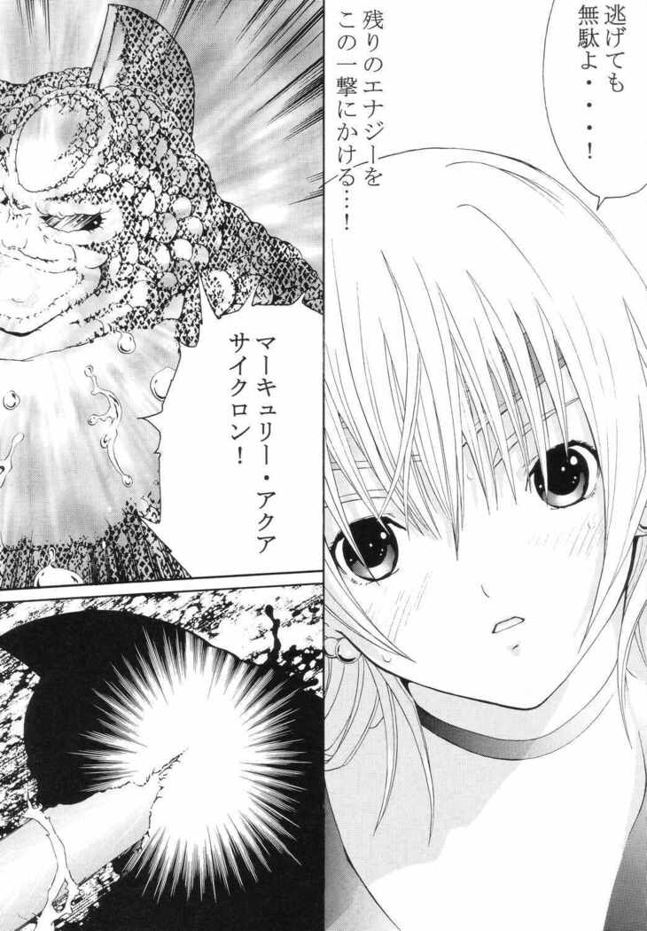 Bishoujo Senshi Gensou Vol.5 Tsuzuki Injou no Ojoku