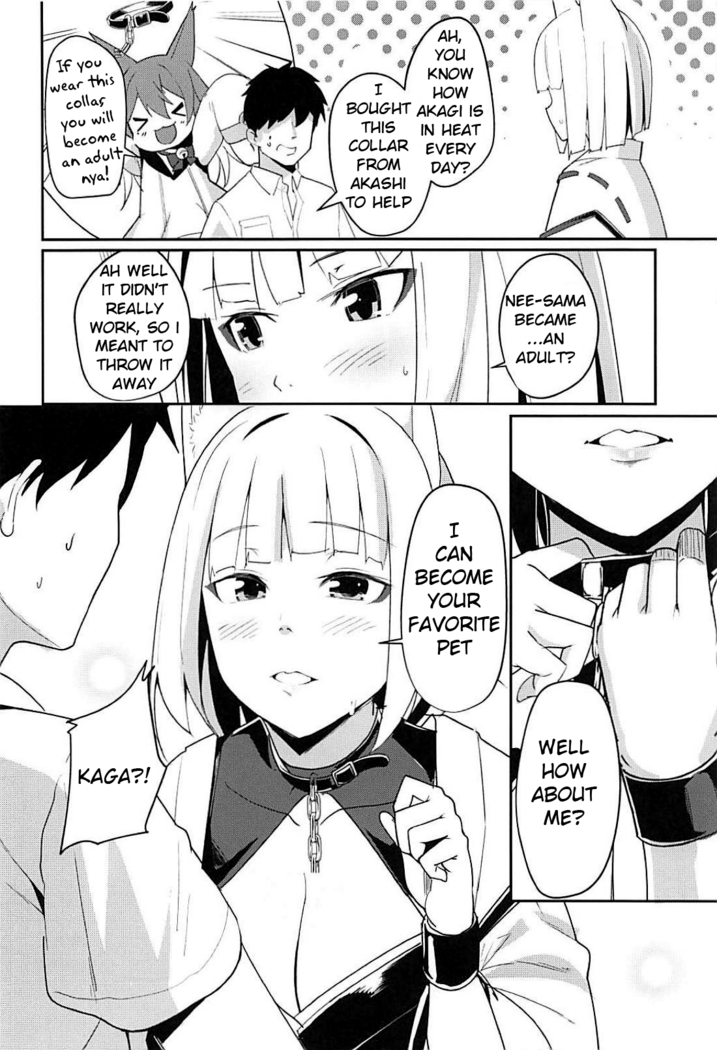 Pet na Kaga