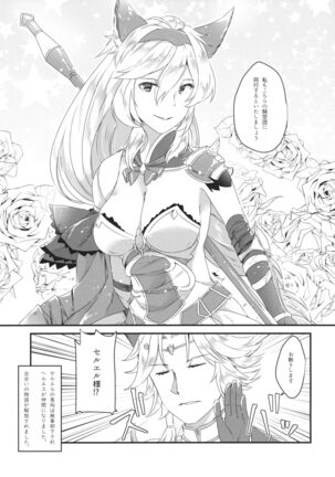 (C94) [Sudachic (Shiono Maki)] Djeeta-chan wa Ouji-sama no Koto ga Suki 2 ~Mizugi de Icha Love Hen~ (Granblue Fantasy) Page #26