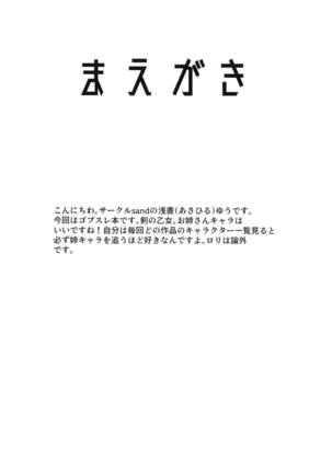 Dare mo Shiranai Tsurugi no Otome no Seiseikatsu - Page 4