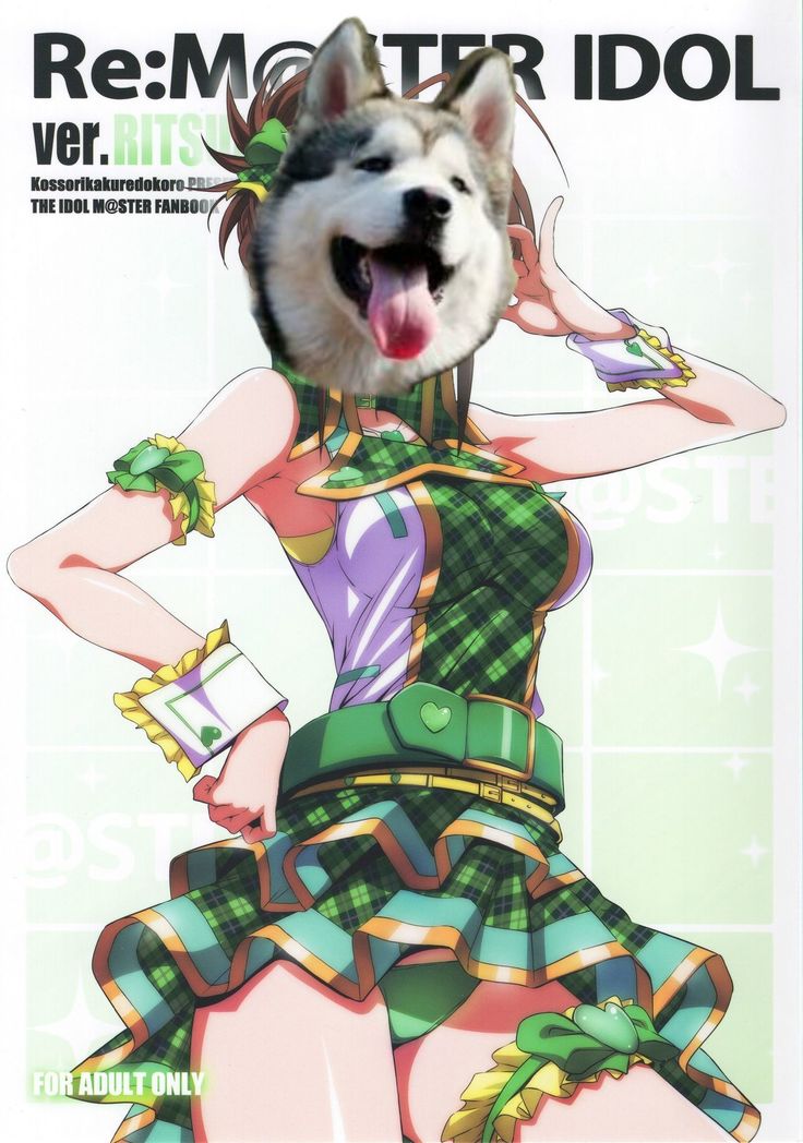 Re:M@STER IDOL ver.RITSUKO