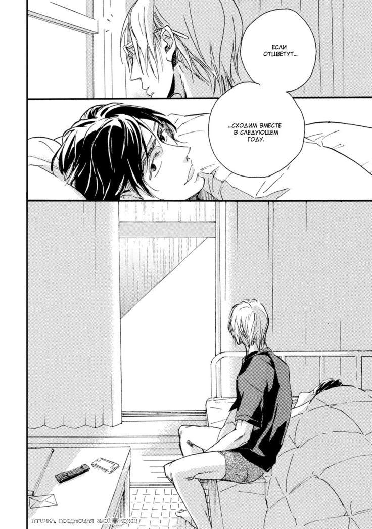 Hebikuidori