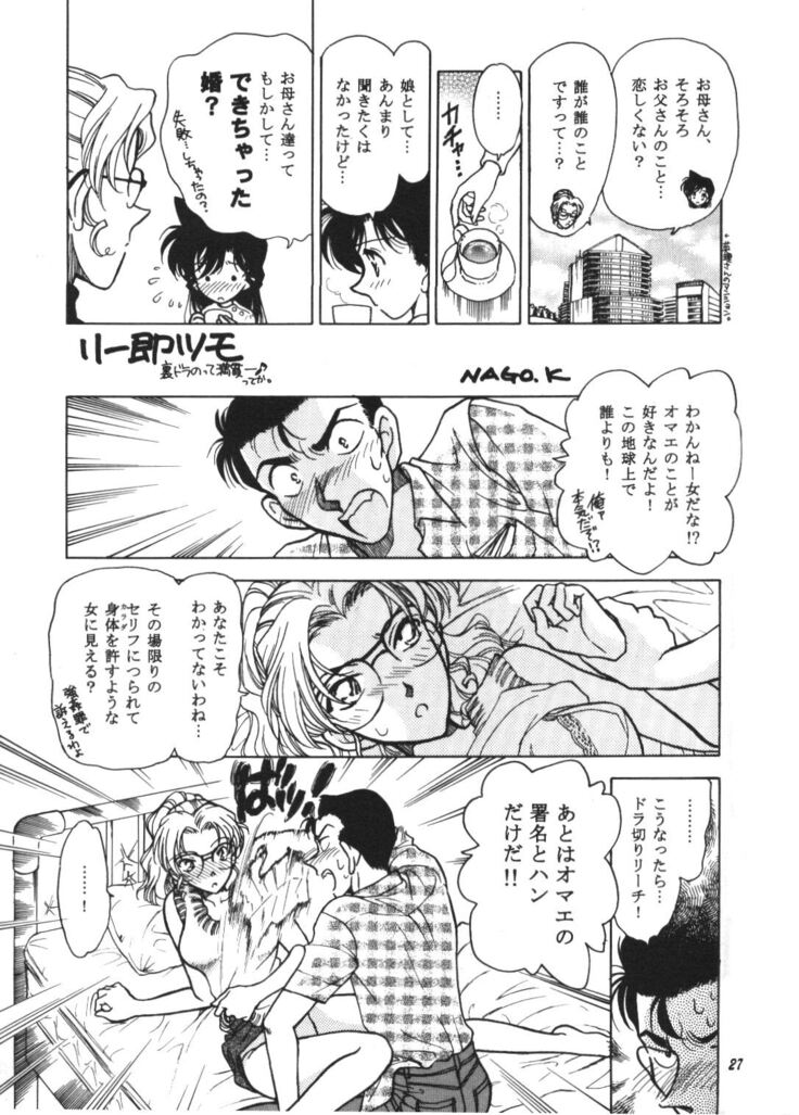 HOHETO  26