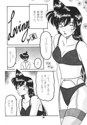 HOHETO  26 Page #35