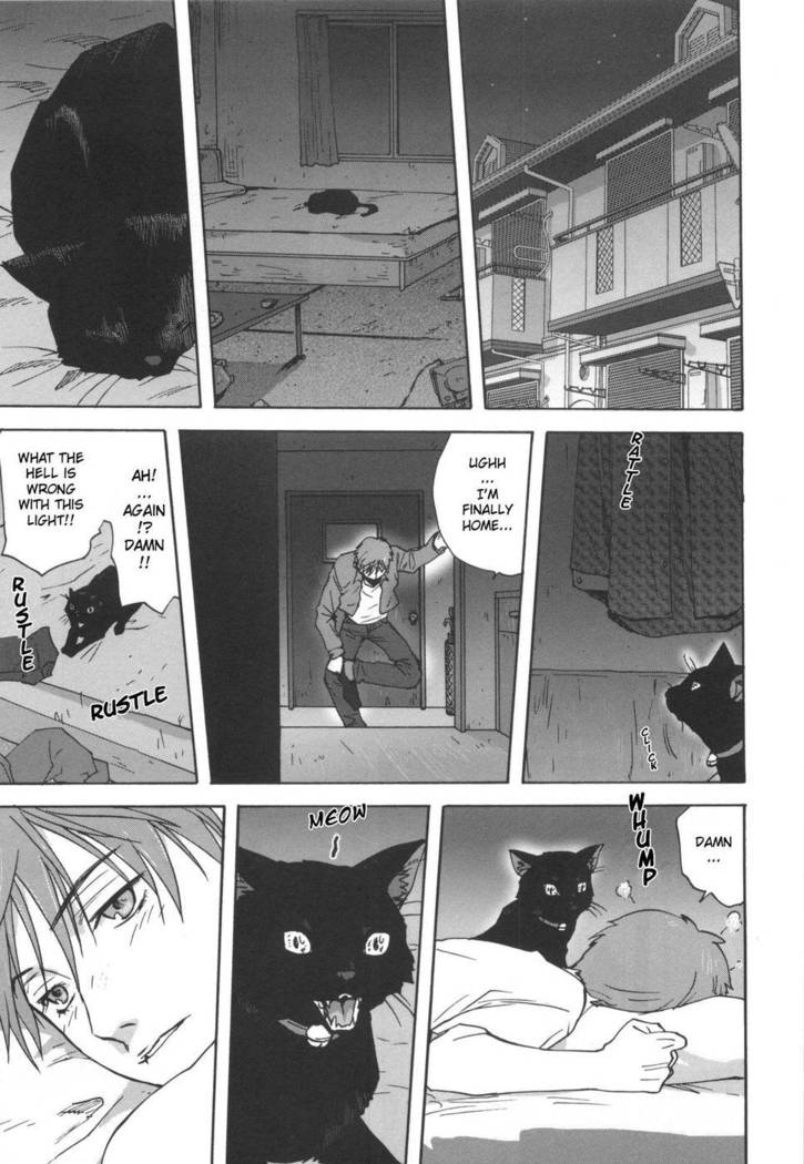 A Cat Repaying Kindness