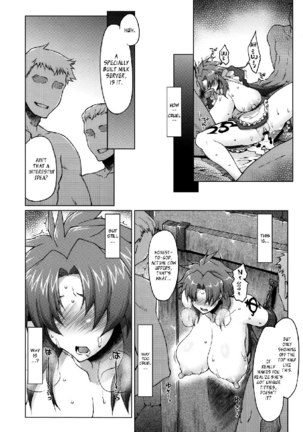 Queens Blade - Meushi Gizoku Risty Rin After - Page 31