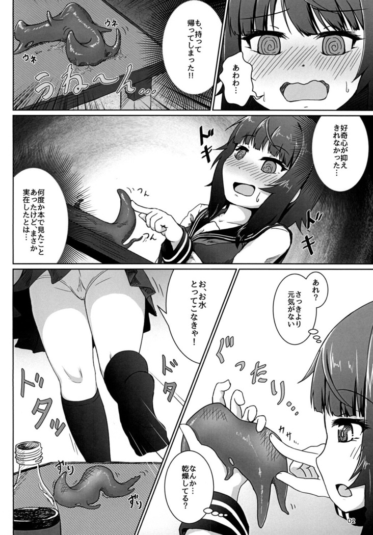 好奇心に触れるモノ