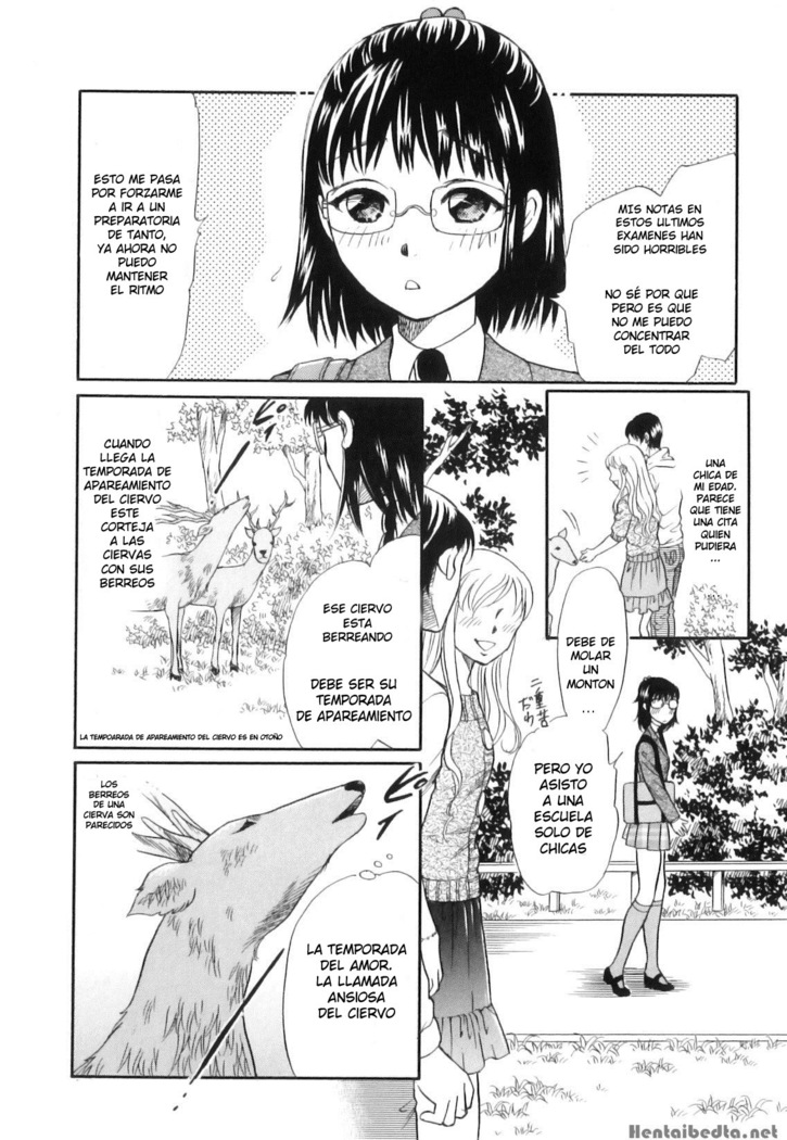 Shoujo-tachi no Yukue ~Shishigami no Mori~ | Divine Deer Forest ~Girls' Whereabouts~