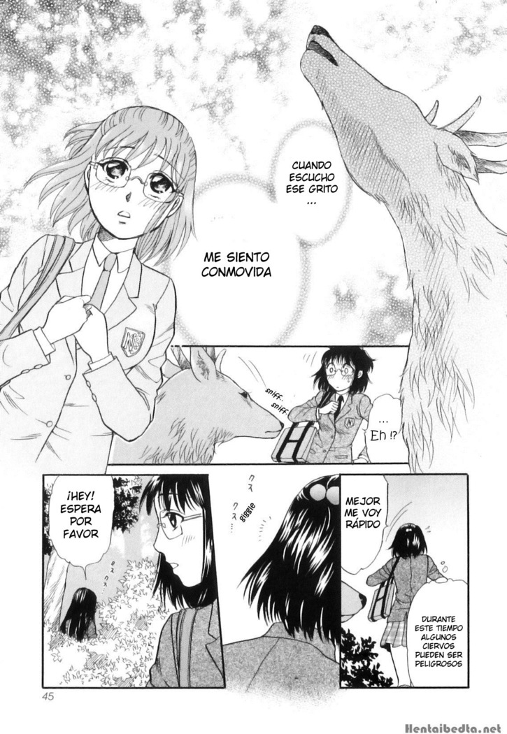 Shoujo-tachi no Yukue ~Shishigami no Mori~ | Divine Deer Forest ~Girls' Whereabouts~