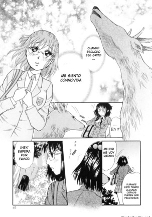 Shoujo-tachi no Yukue ~Shishigami no Mori~ | Divine Deer Forest ~Girls' Whereabouts~