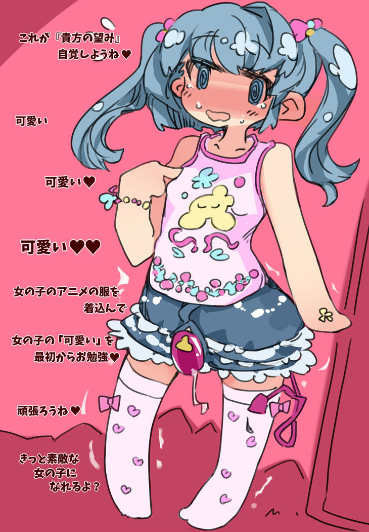 "SISSY A LA CARTE 11" ~Netorare Otokonoko, Teisoutai Kanri Mesuka Choukyou~