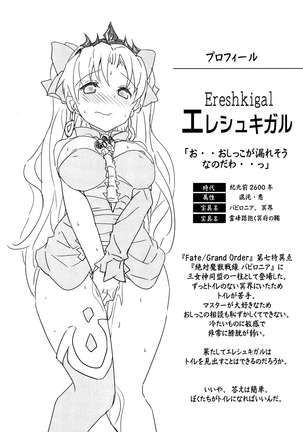 Toile no Yarikata o Shiranai Ereshkigal-chan