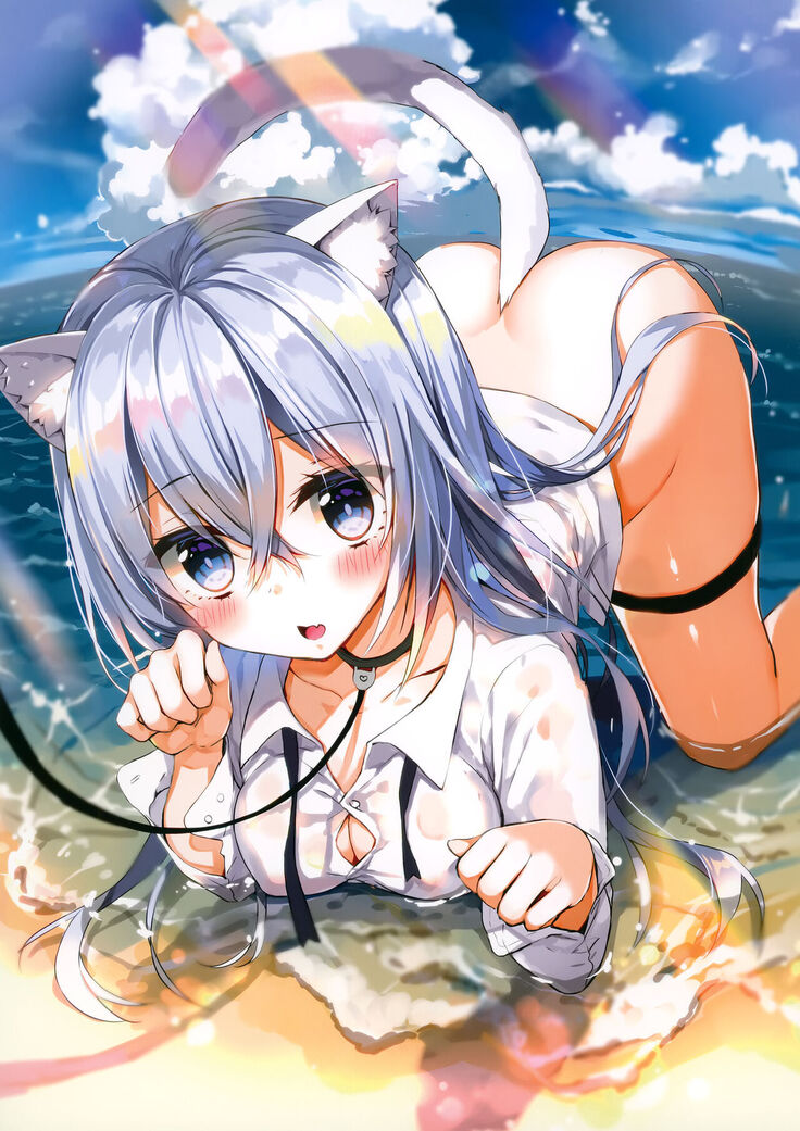 Umi de Neko o Hirotta.