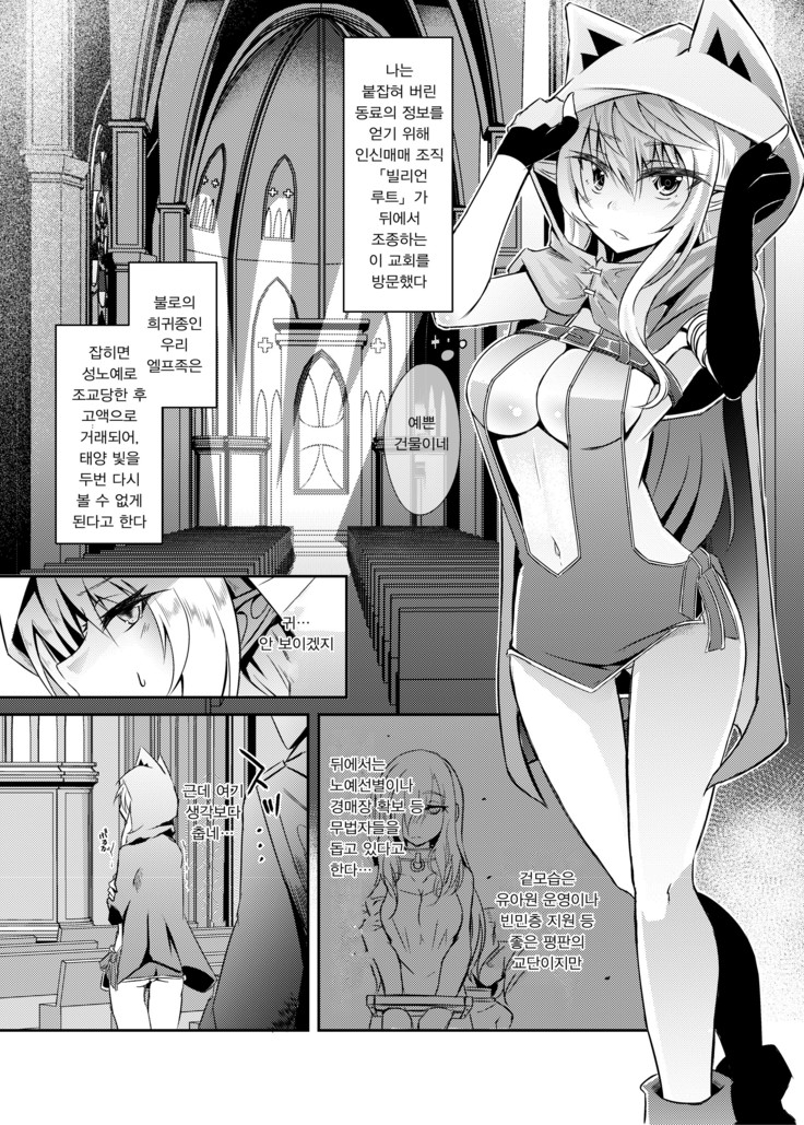 Toubou ELF3 | 도망 ELF3