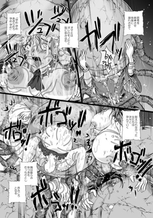 Marunomijo no Himekishi Page #24
