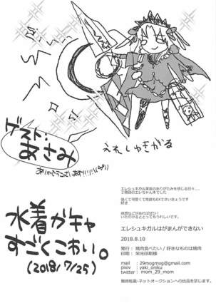 Ereshkigal wa Gaman ga Dekinai Page #19