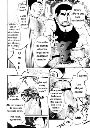 Miel de abeja macho Page #8