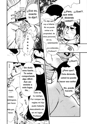 Miel de abeja macho - Page 14