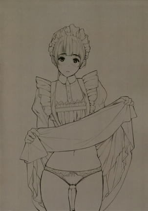 MAID IROIRO